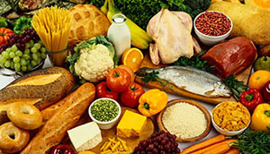 Ernährung